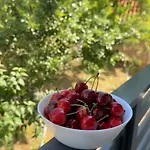 公寓 Al Dana Potkraj