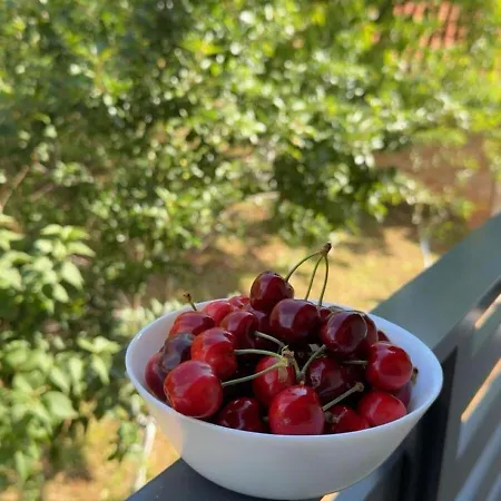 Apartment Al Dana Potkraj