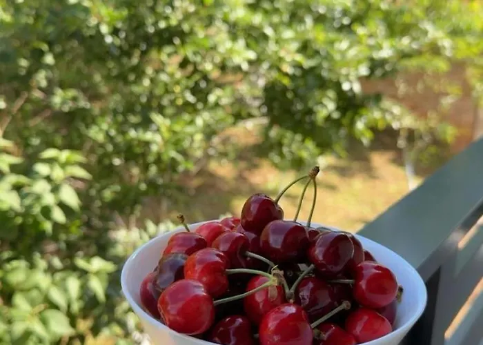 Appartement Al Dana Potkraj